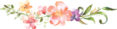 floral_divider_1 floral_divider_1